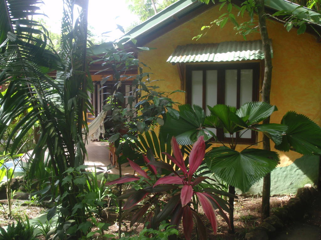 Pachamama Tropical Garden Lodge Malpais Room photo