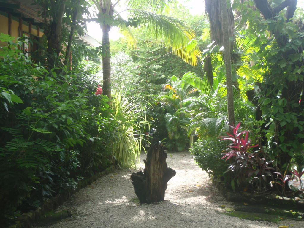Pachamama Tropical Garden Lodge Malpais Exterior photo