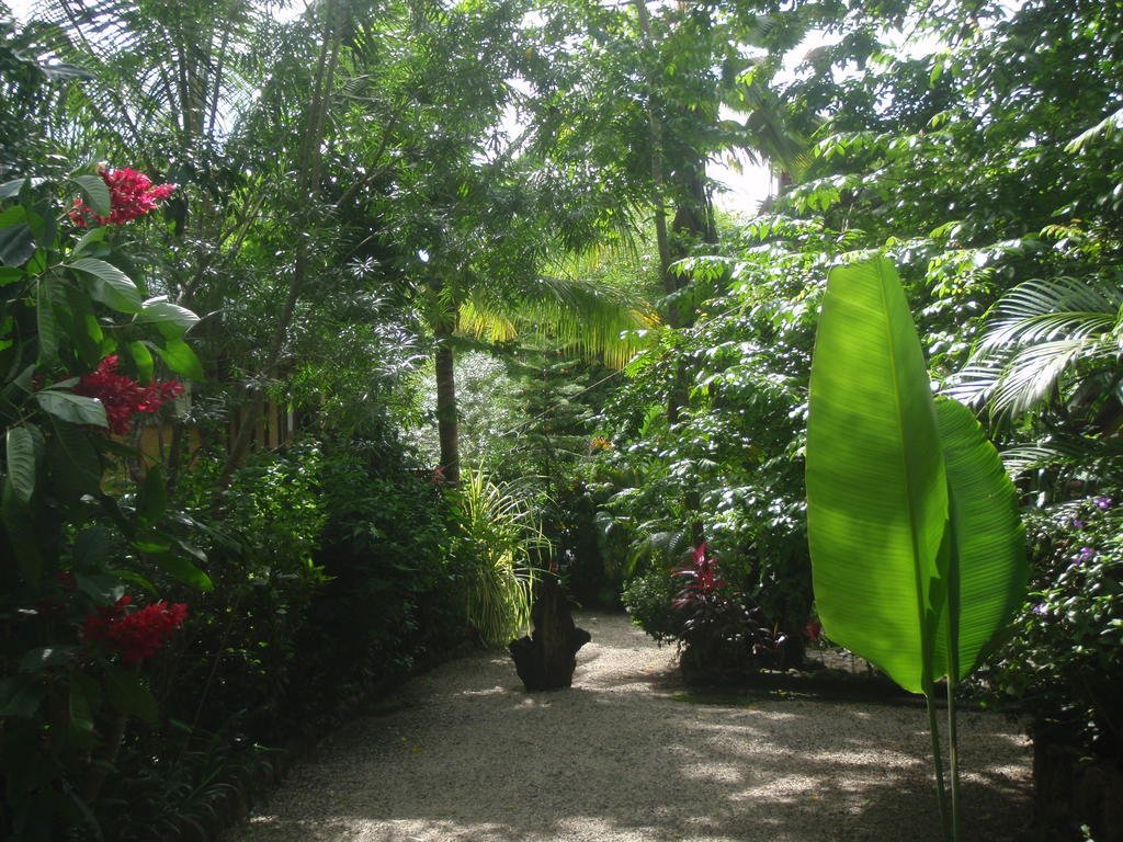 Pachamama Tropical Garden Lodge Malpais Exterior photo