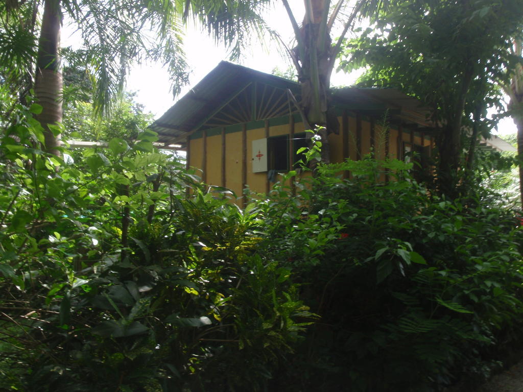 Pachamama Tropical Garden Lodge Malpais Room photo