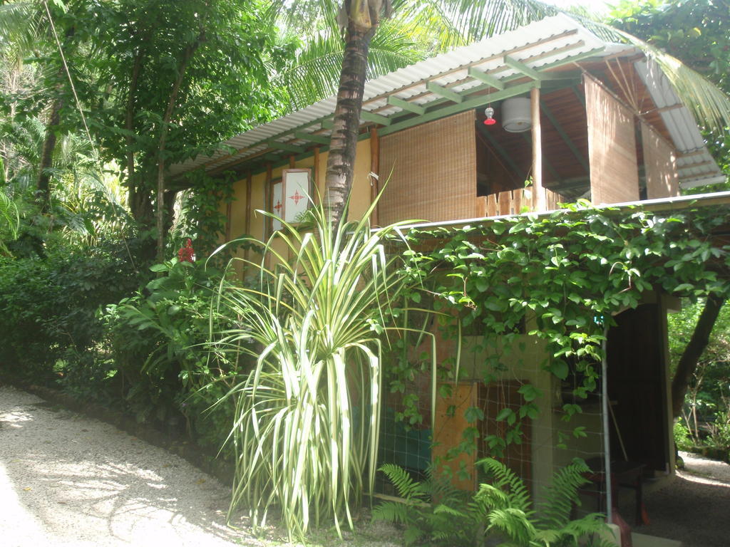 Pachamama Tropical Garden Lodge Malpais Room photo