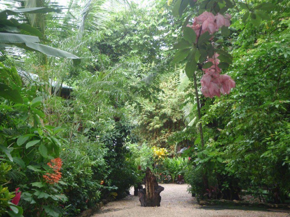 Pachamama Tropical Garden Lodge Malpais Exterior photo